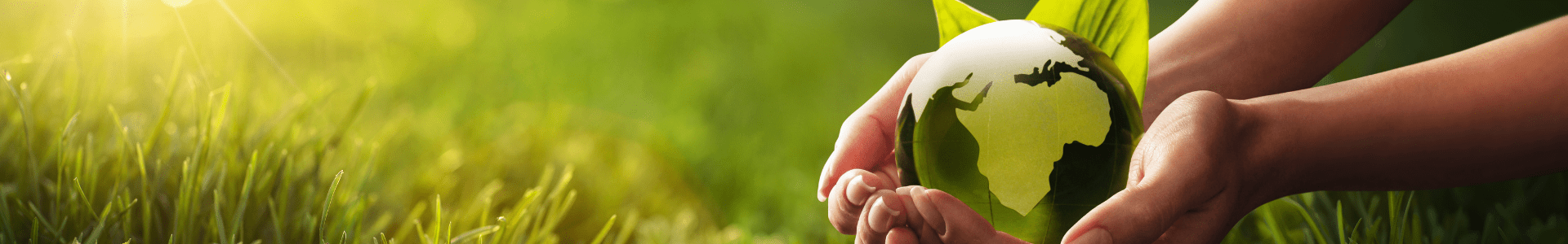 Design sem nome - 2024-05-30T093857.680